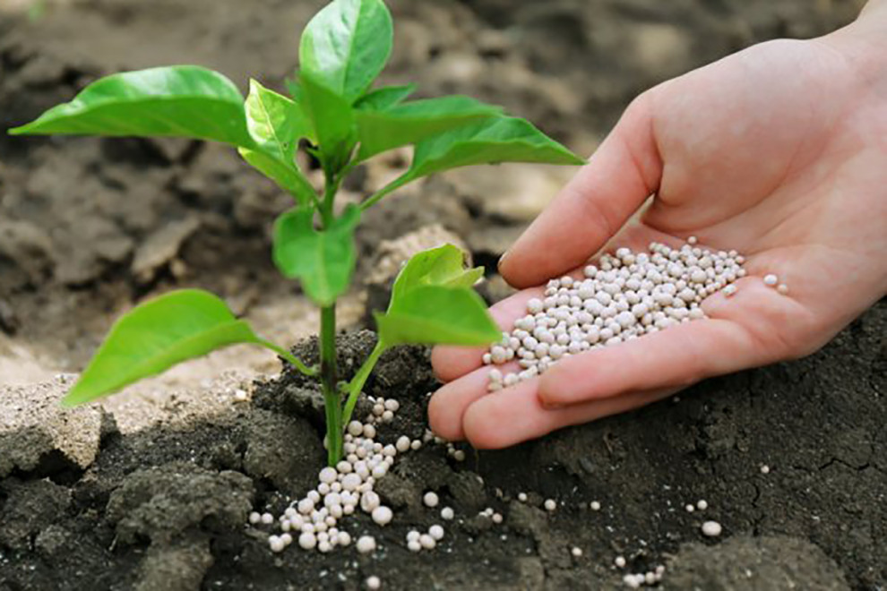 Epicenter Agro to invest in construction of fertilizer production in Vinnytsia region